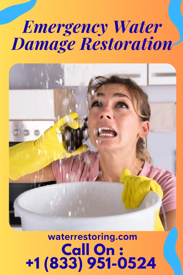 Emergency Water Damage Restoration in Lodge Grass, MT
