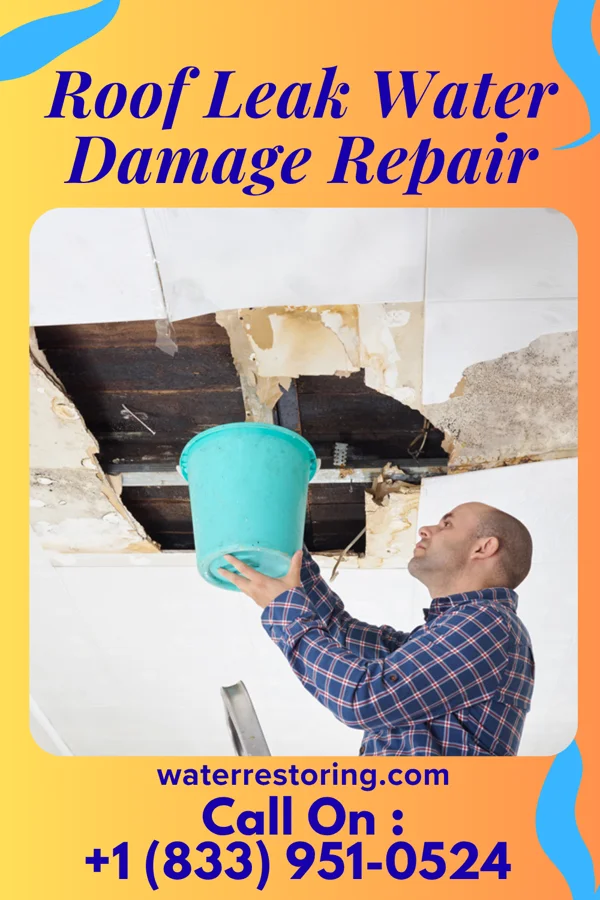 Roof Leak Water Damage Repair in Lodge Grass, MT